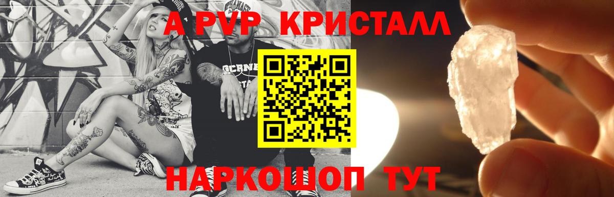 Альфа ПВП СК Геленджик