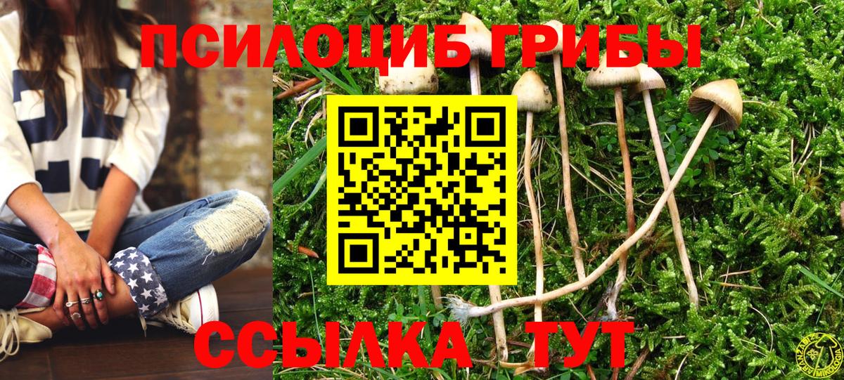 Галлюциногенные грибы мицелий Геленджик