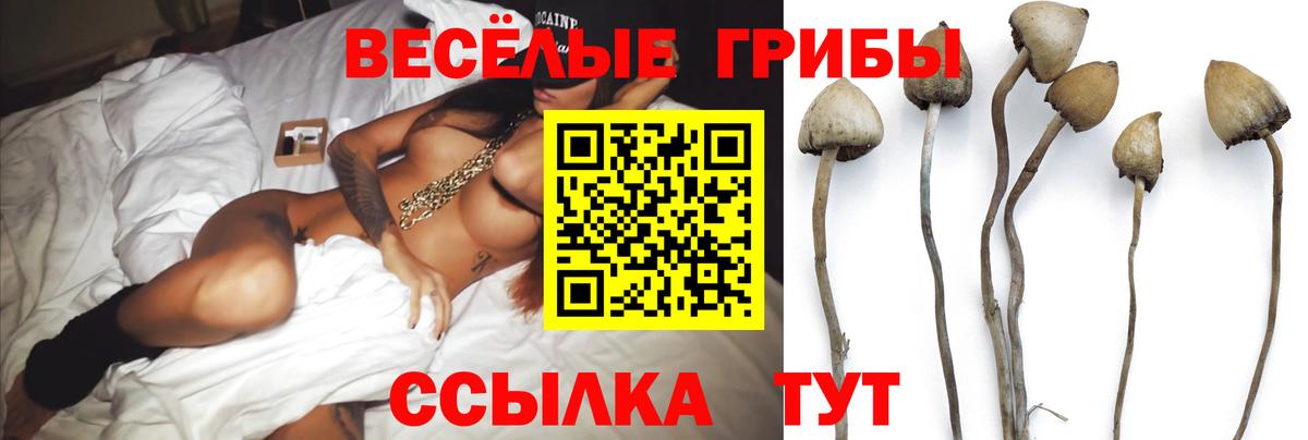 Геленджик  как найти закладки  Вход с VPN  Псилоцибиновые грибы Magic Shrooms 